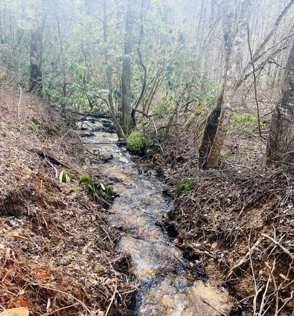 $899,900 | 0 Flea Mountain Road, Murphy, NC 28906