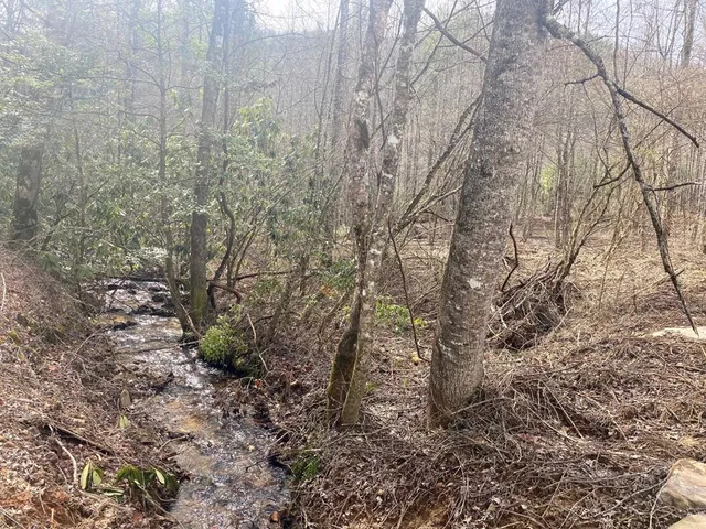 $980,612 | 0 Flea Mountain Road, Murphy, NC 28906