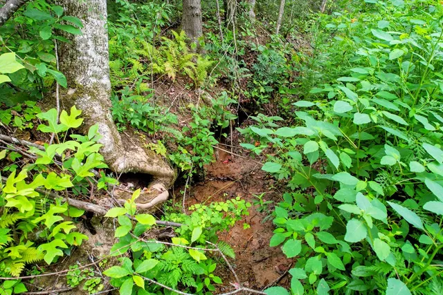 $980,612 | 0 Flea Mountain Road, Murphy, NC 28906