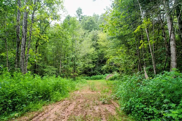 $980,612 | 0 Flea Mountain Road, Murphy, NC 28906