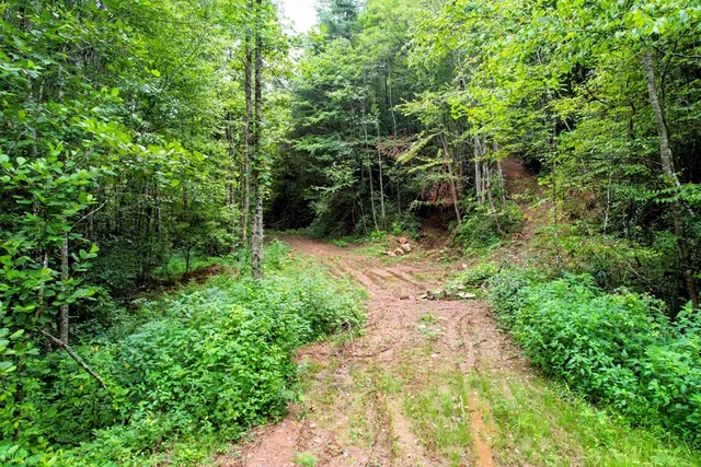$980,612 | 0 Flea Mountain Road, Murphy, NC 28906