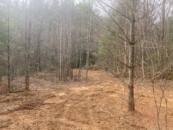 $899,900 | 0 Flea Mountain Road, Murphy, NC 28906