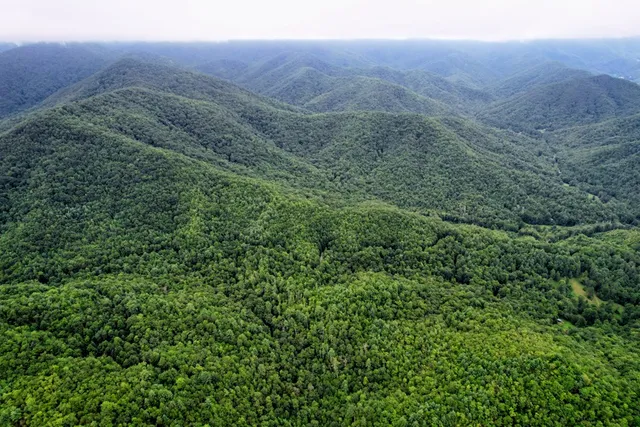 $980,612 | 0 Flea Mountain Road, Murphy, NC 28906