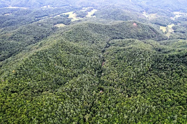 $899,900 | 0 Flea Mountain Road, Murphy, NC 28906