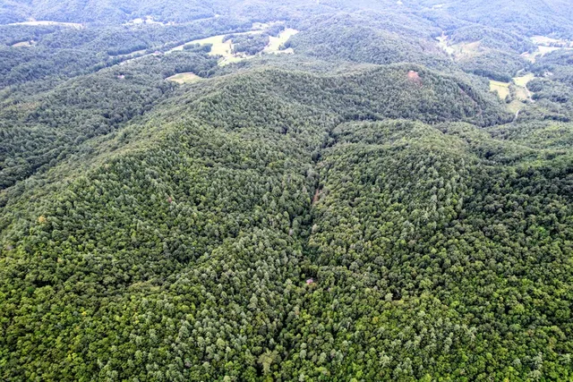 $980,612 | 0 Flea Mountain Road, Murphy, NC 28906