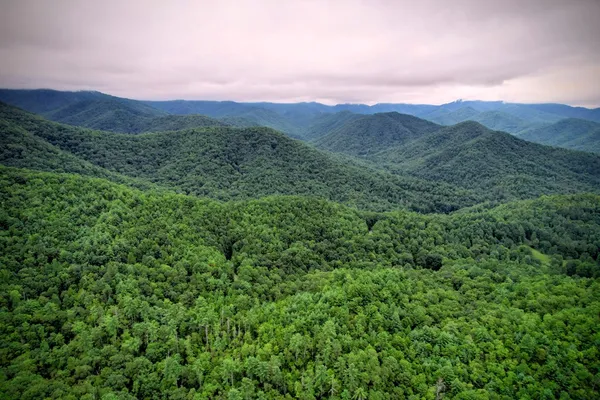 $899,900 | 0 Flea Mountain Road, Murphy, NC 28906