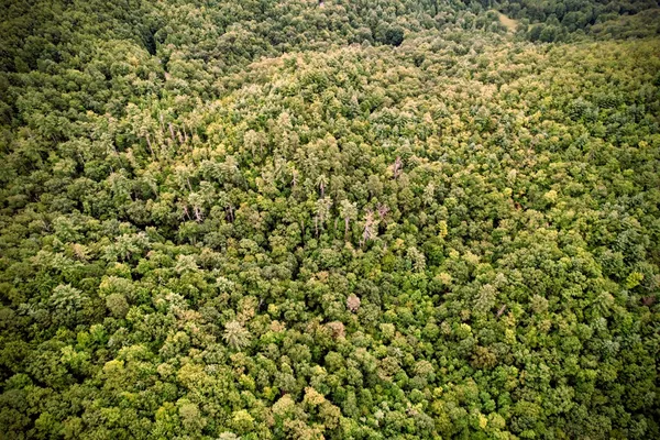 $899,900 | 0 Flea Mountain Road, Murphy, NC 28906
