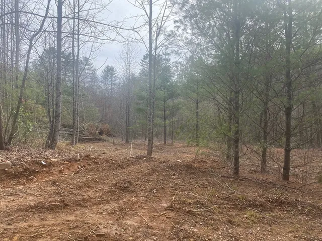 $980,612 | 0 Flea Mountain Road, Murphy, NC 28906