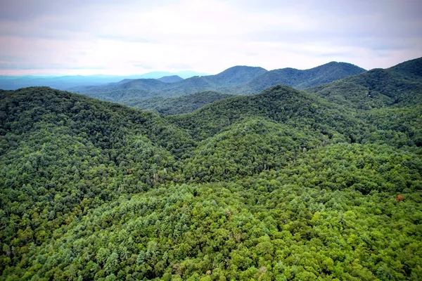 $899,900 | 0 Flea Mountain Road, Murphy, NC 28906