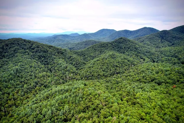 $980,612 | 0 Flea Mountain Road, Murphy, NC 28906