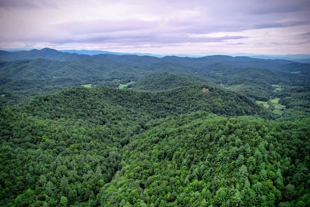 $980,612 | 0 Flea Mountain Road, Murphy, NC 28906