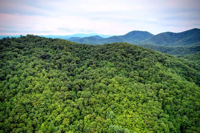 $980,612 | 0 Flea Mountain Road, Murphy, NC 28906