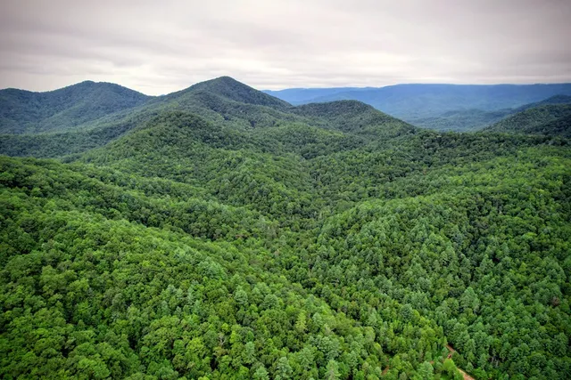 $980,612 | 0 Flea Mountain Road, Murphy, NC 28906