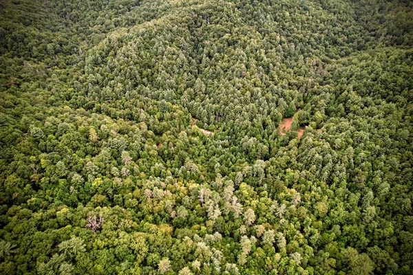 $899,900 | 0 Flea Mountain Road, Murphy, NC 28906