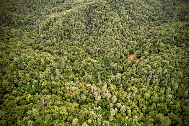 $980,612 | 0 Flea Mountain Road, Murphy, NC 28906