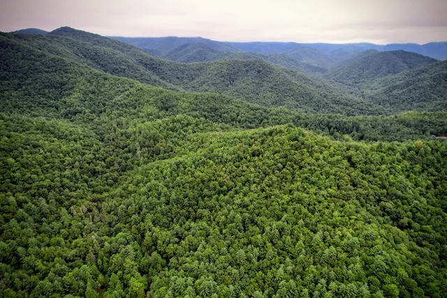 $980,612 | 0 Flea Mountain Road, Murphy, NC 28906