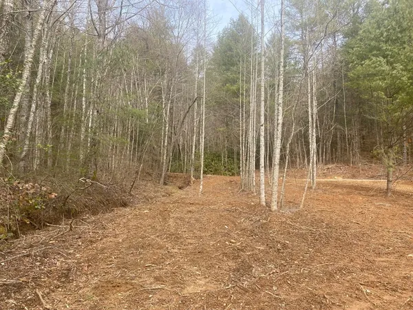 $899,900 | 0 Flea Mountain Road, Murphy, NC 28906