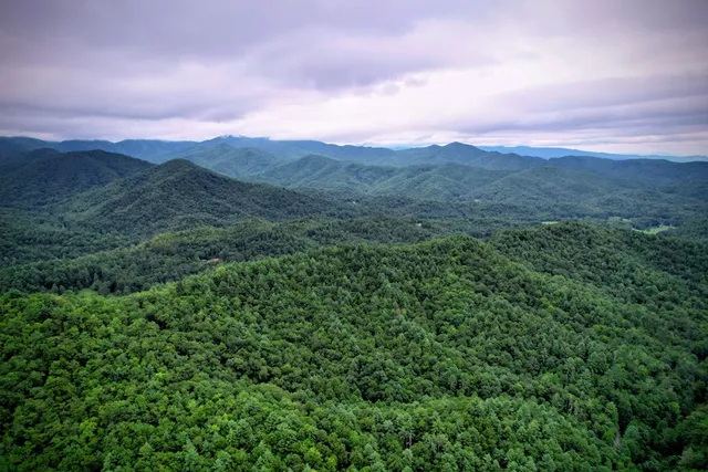 $980,612 | 0 Flea Mountain Road, Murphy, NC 28906