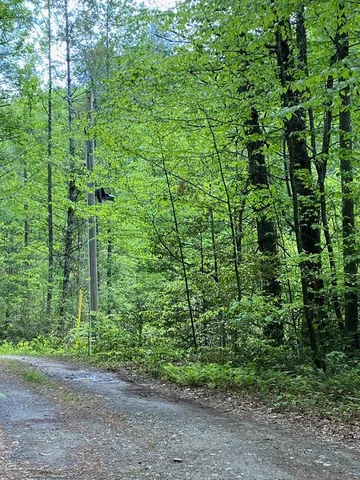 $980,612 | 0 Flea Mountain Road, Murphy, NC 28906