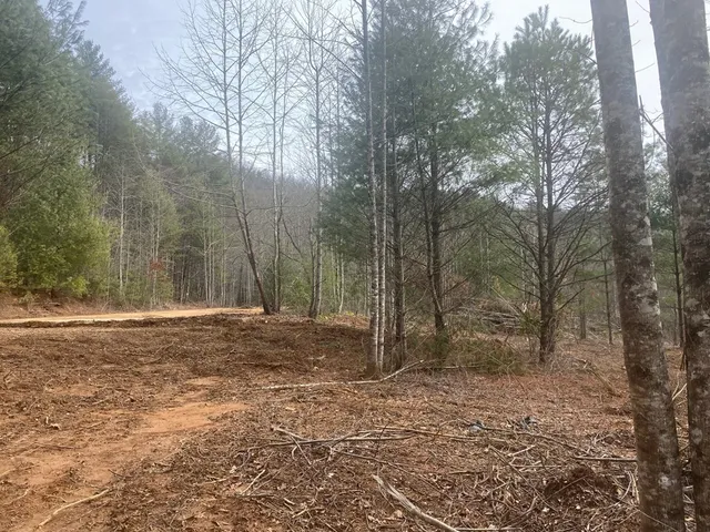 $980,612 | 0 Flea Mountain Road, Murphy, NC 28906