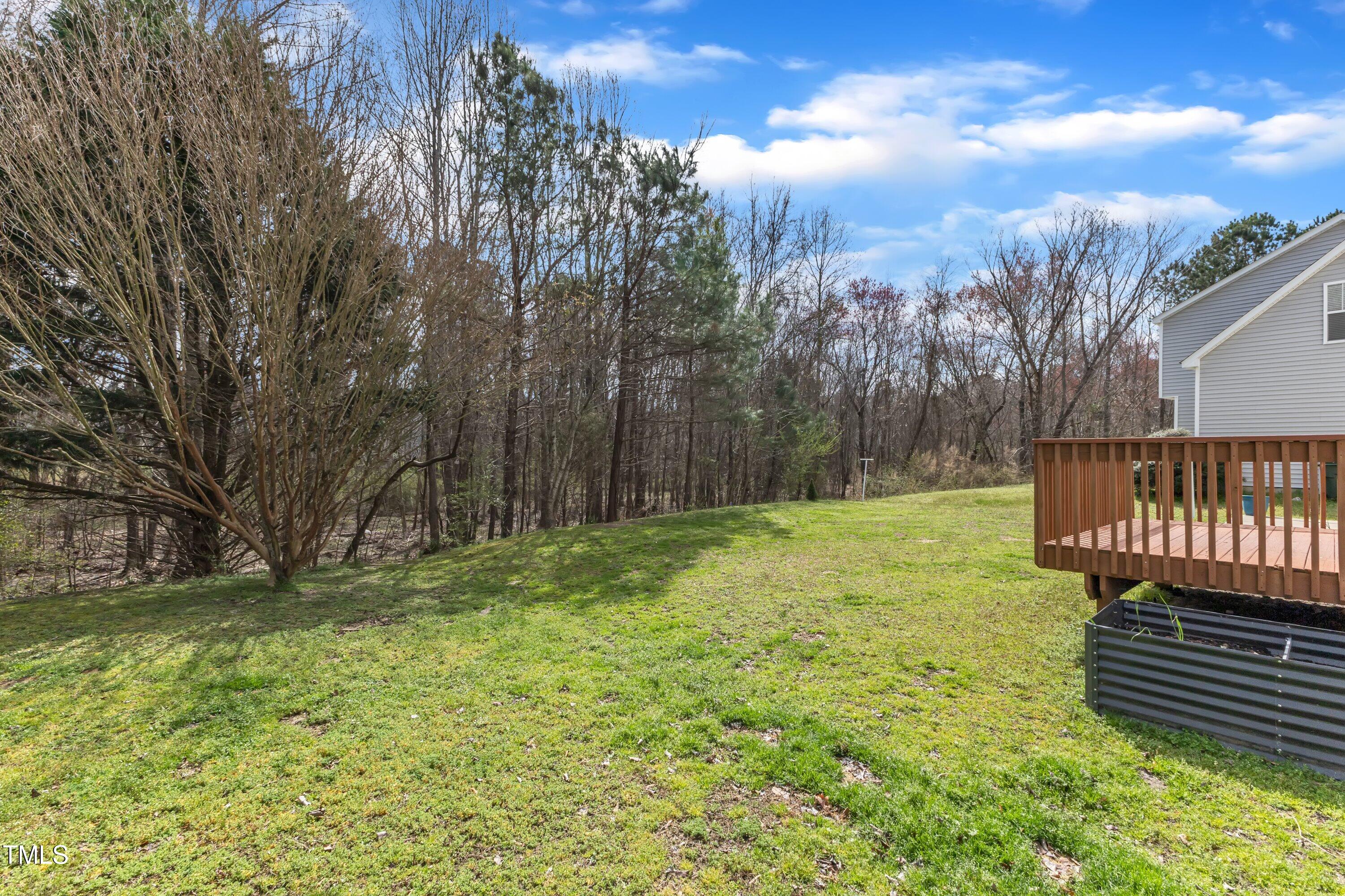 3608 Croydon Mill Way Raleigh, NC 27616 - Photo 24 of 29 a view of a yard with large trees