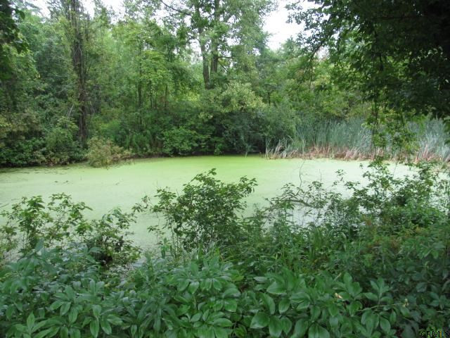 621 Argersinger Road Fultonville, NY 12072 - Photo 13 of 16 Photo 13
