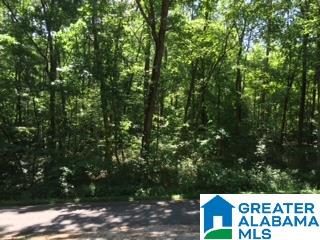 962 Pine Mountain Road Remlap, AL 35133 - Photo 4 of 7