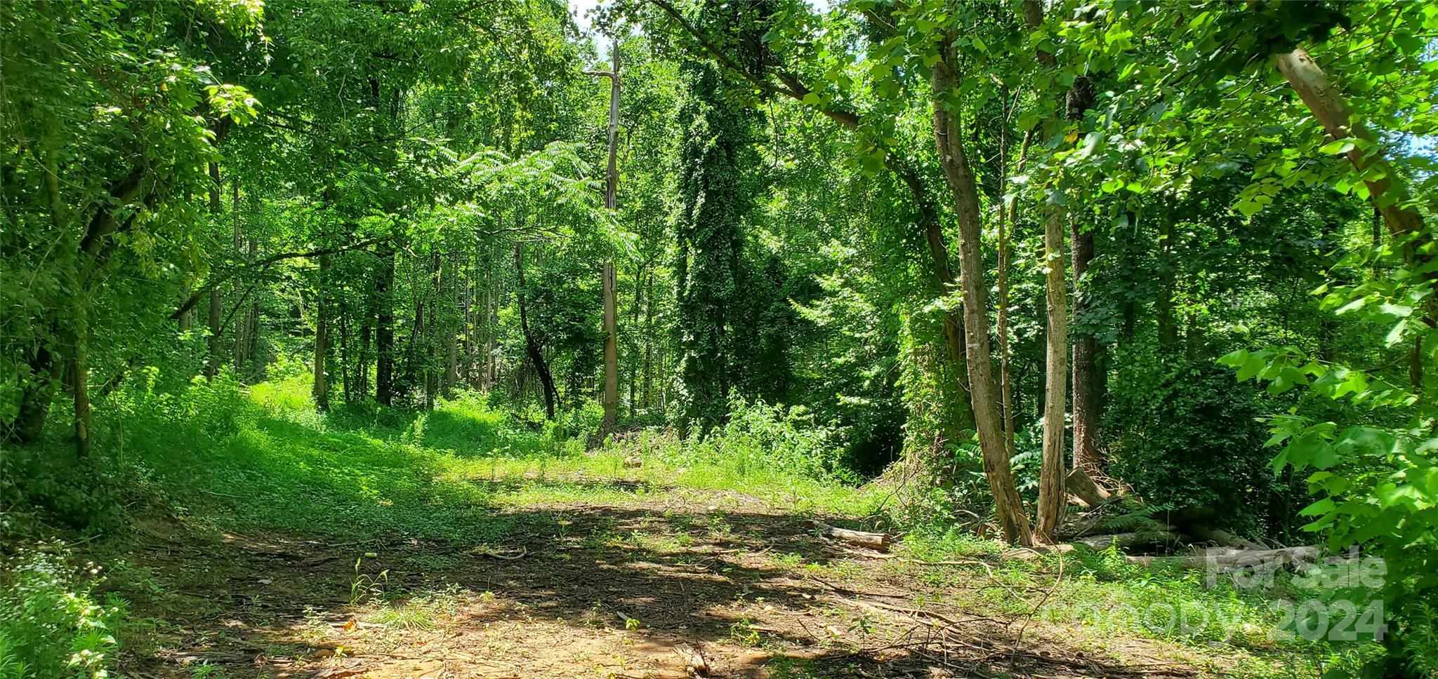 402 Mathis Mill Road Roaring River, NC 28669 - Photo 3 of 20 Gallery Image 3