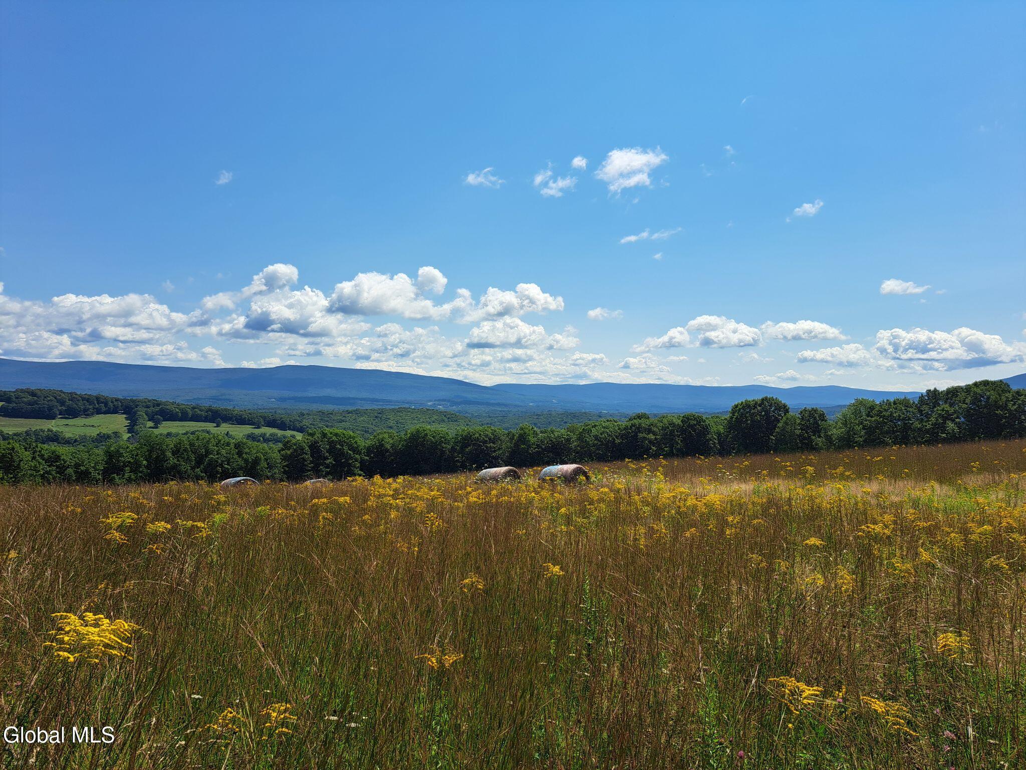 9.1 State Line Road White Creek, NY 12057 - Photo 29 of 72 30 More Goldenrod
