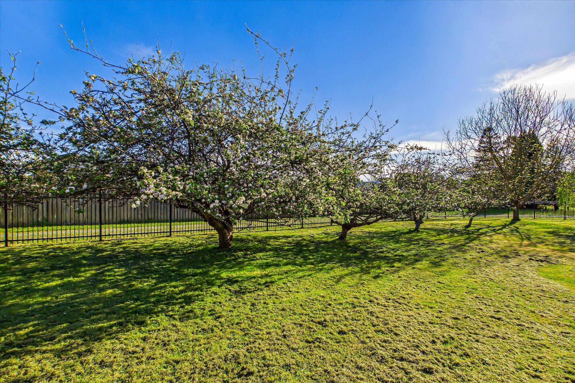 2450 Kenmar Road Fortuna, CA 95540 - Photo 52 of 54