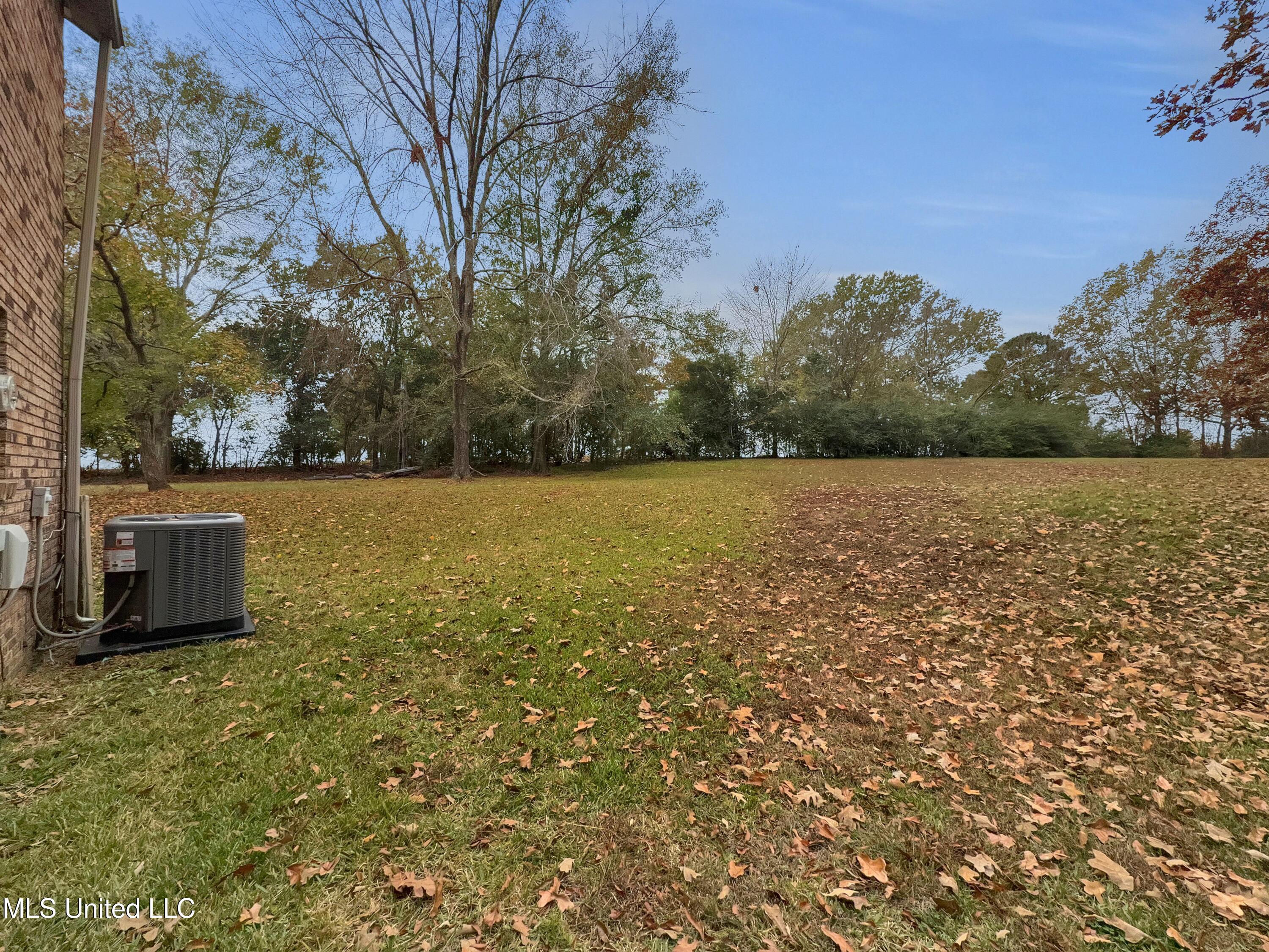 63 Sycamore Lane Brandon, MS 39042 - Photo 17 of 21 IMG_0749