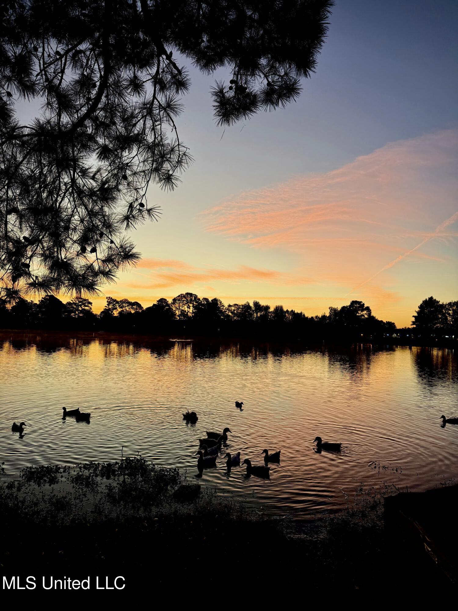 63 Sycamore Lane Brandon, MS 39042 - Photo 20 of 21 IMG_2526