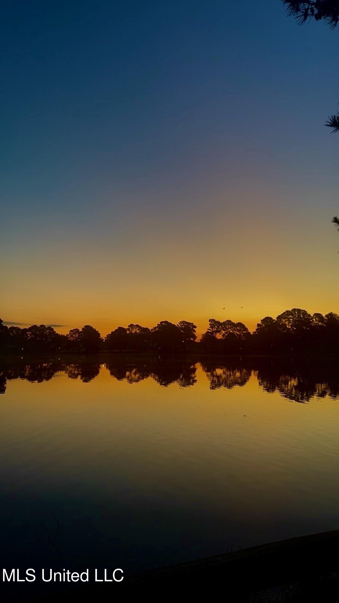 63 Sycamore Lane Brandon, MS 39042 - Photo 21 of 21 IMG_2533