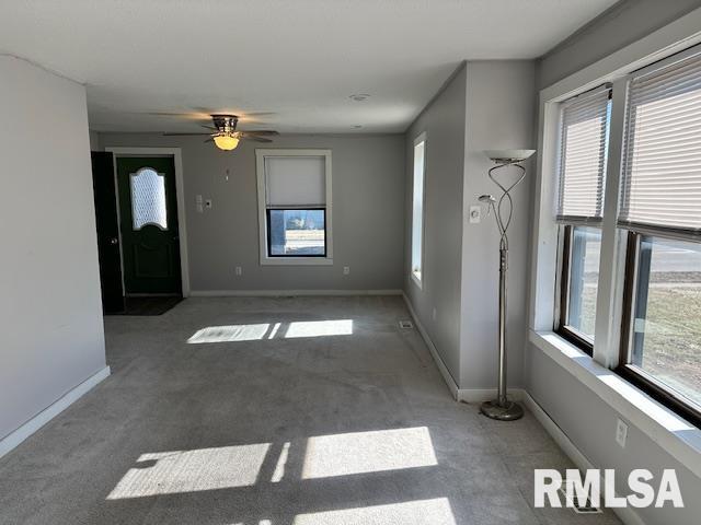 541 South Springfield Street Virden, IL 62690 - Photo 11 of 29