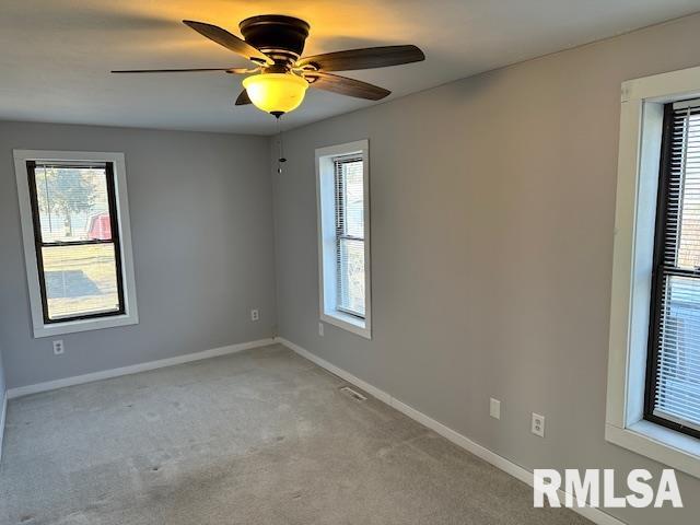 541 South Springfield Street Virden, IL 62690 - Photo 12 of 29