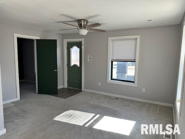 541 South Springfield Street Virden, IL 62690 - Photo 9 of 29