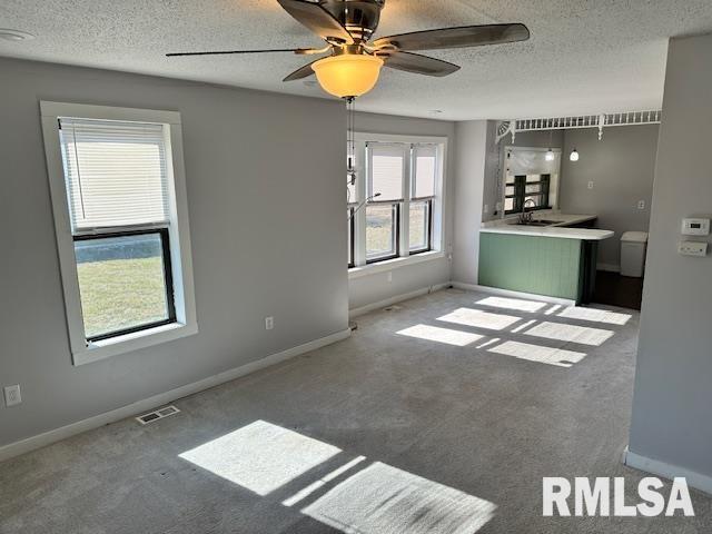 541 South Springfield Street Virden, IL 62690 - Photo 10 of 29