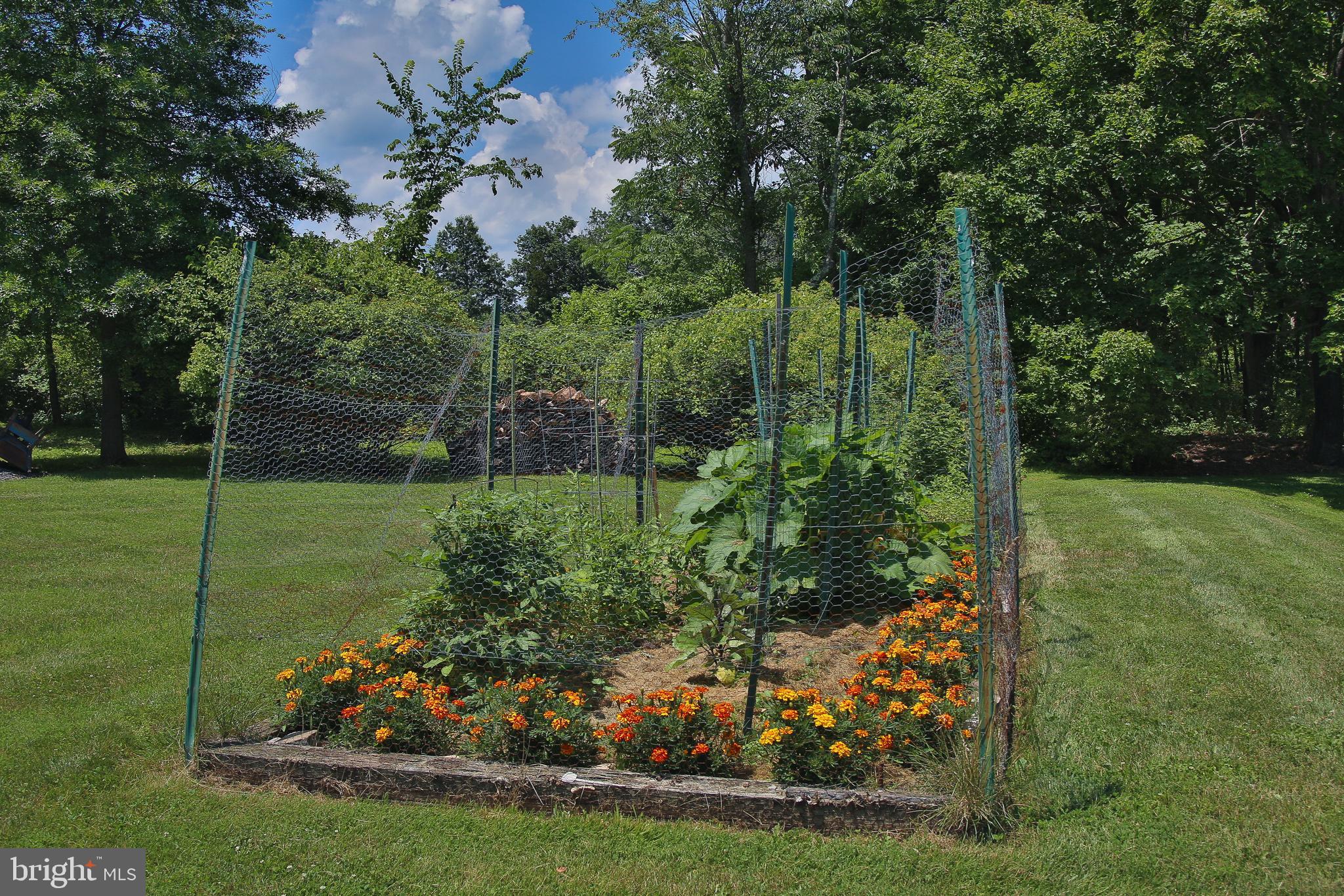 1126 Sweetbriar Road Perkasie, PA 18944 - Photo 46 of 51 Gardens