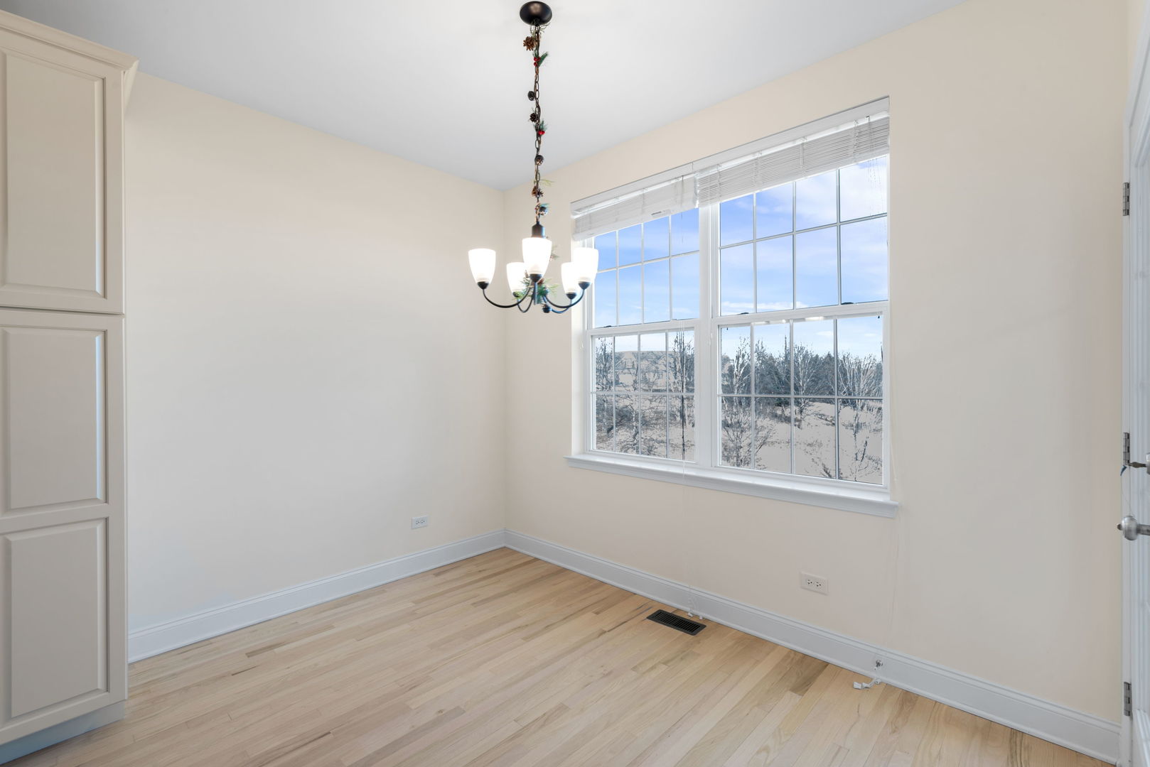 1159 Falcon Ridge Drive Elgin, IL 60124 - Photo 13 of 29