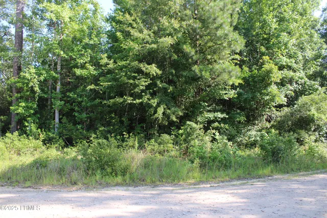 $60,000 | 800 Dr Young Road, Hampton, SC 29924