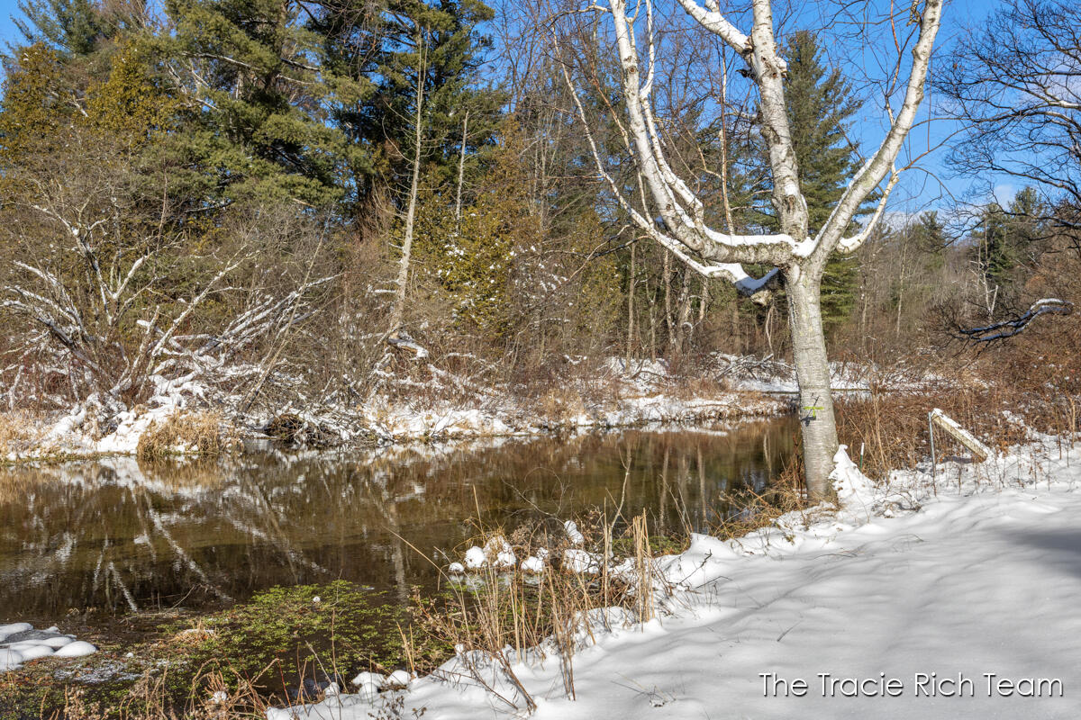 11582 Riehl Way Greenville, MI 48838 - Photo 24 of 30 IMG_1008