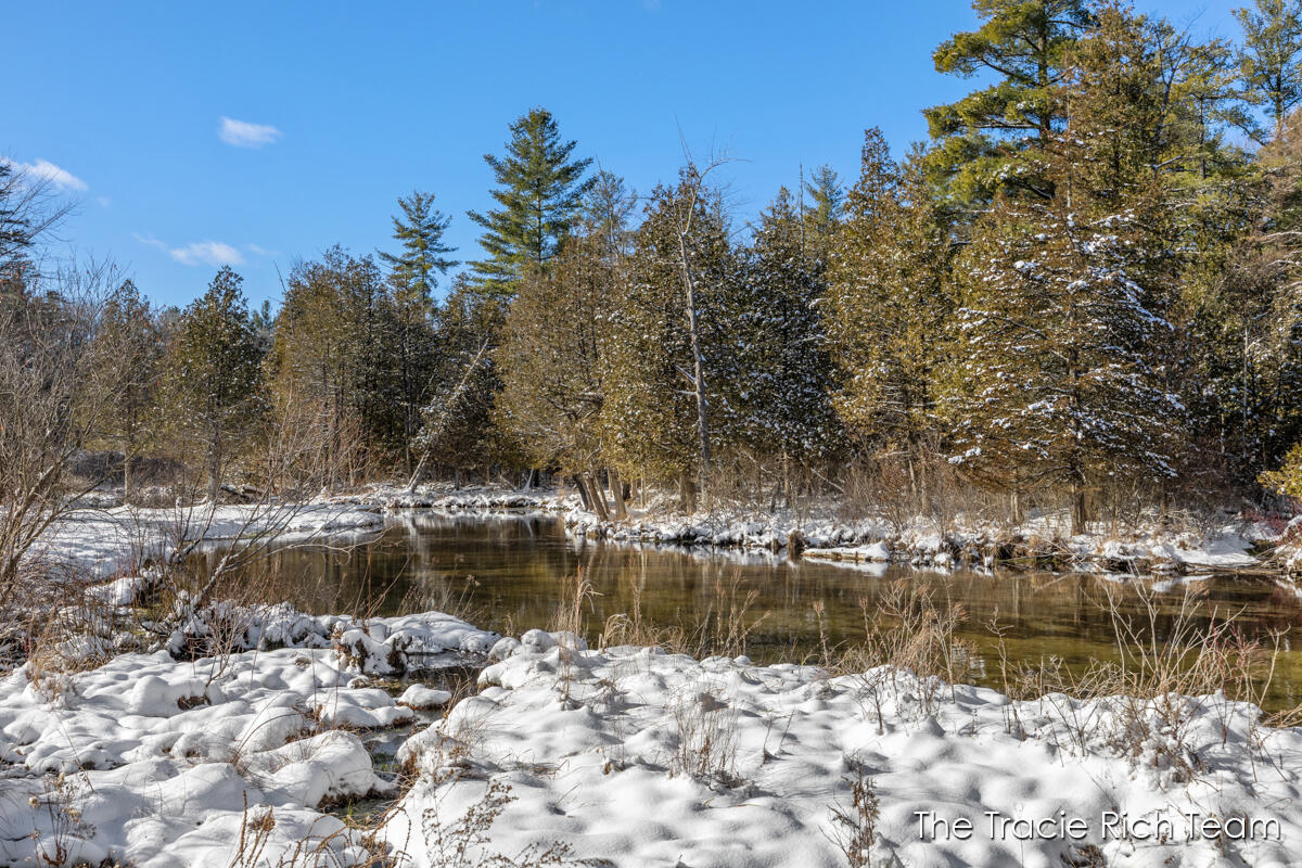 11582 Riehl Way Greenville, MI 48838 - Photo 25 of 30 IMG_1009