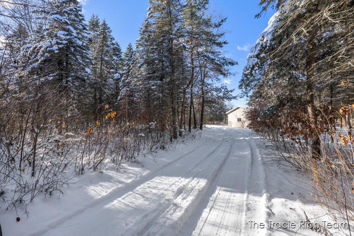 11582 Riehl Way Greenville, MI 48838 - Photo 26 of 30 IMG_1013