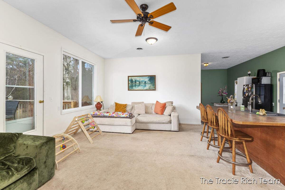 11582 Riehl Way Greenville, MI 48838 - Photo 4 of 30 IMG_1005