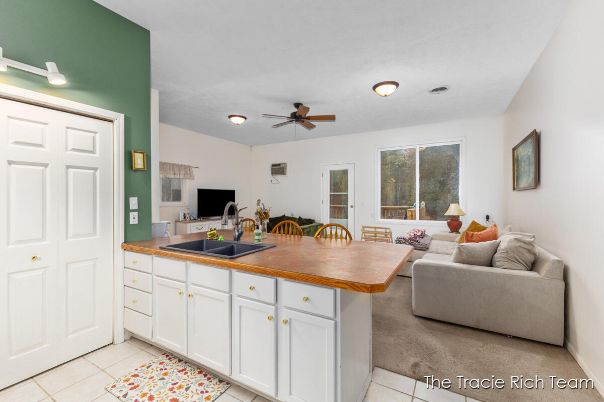 11582 Riehl Way Greenville, MI 48838 - Photo 8 of 30 IMG_1009