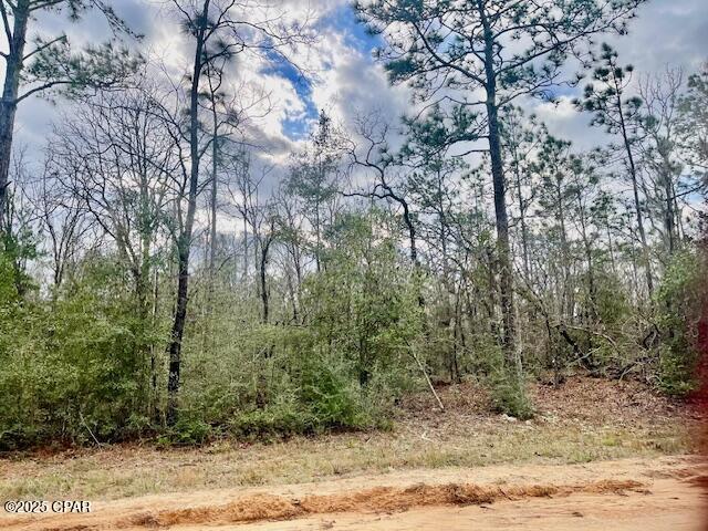 Lot 9 Red Road Marianna, FL 32448 - Photo 2 of 9