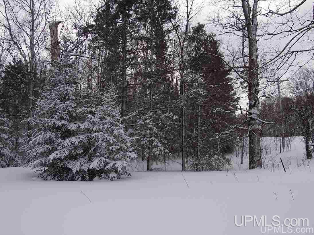 19184 Dog Patch Road Lanse, MI 49946 - Photo 13 of 23 Gallery Image 13