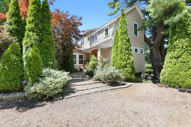 a view of a garden with pathway