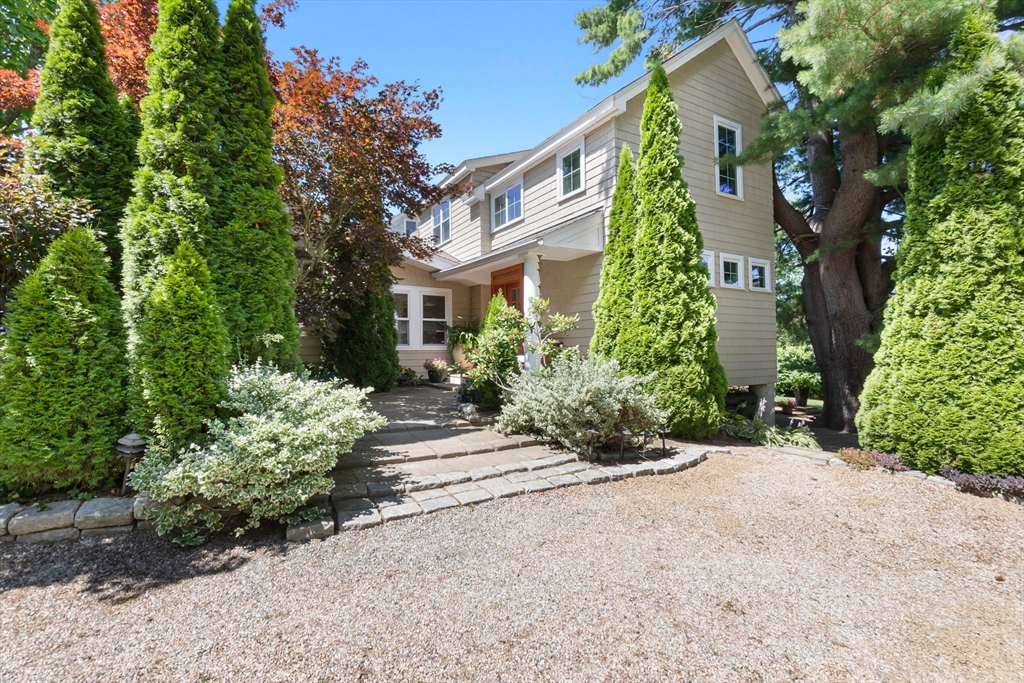 a view of a garden with pathway
