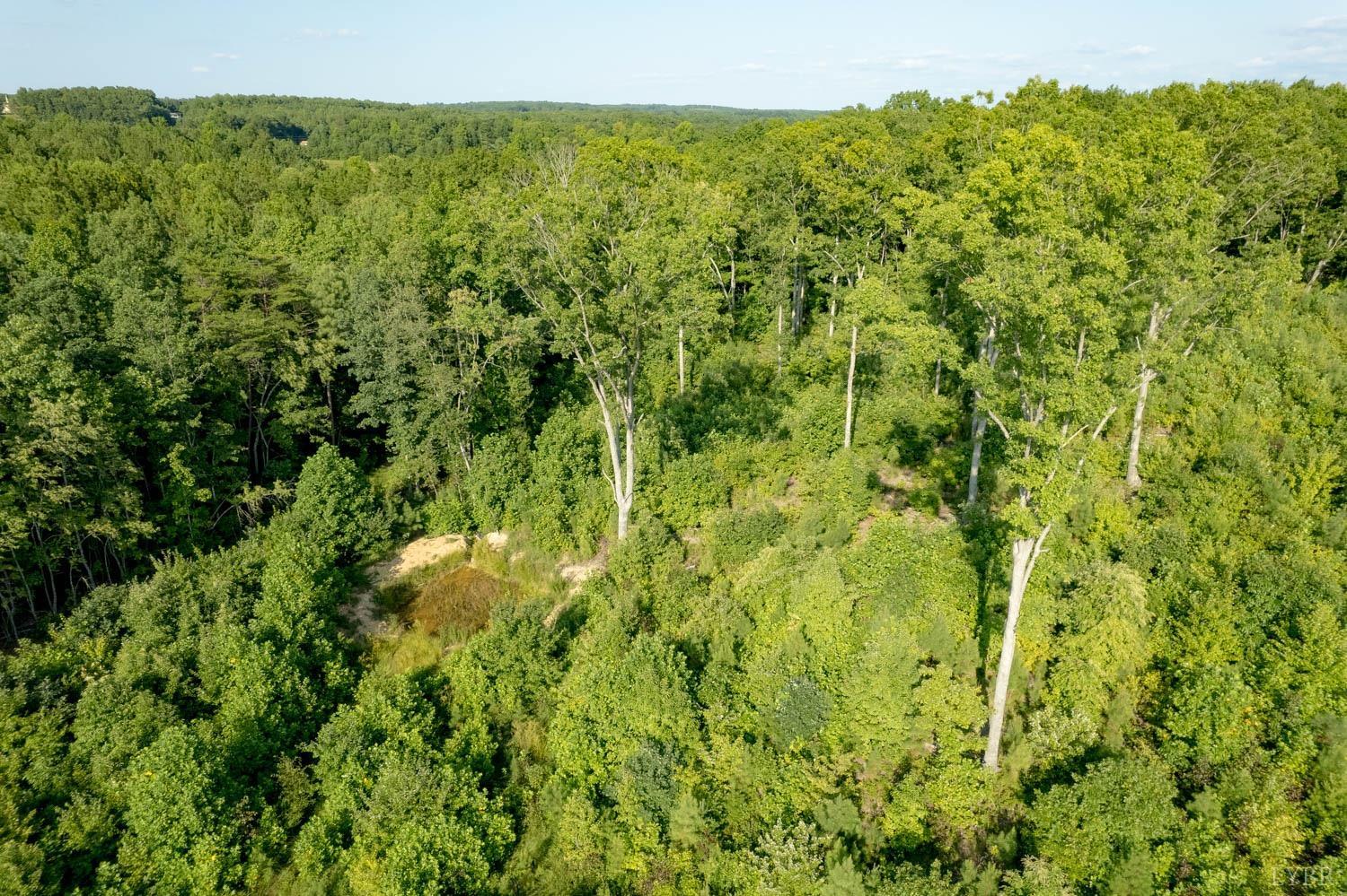 5972 Promise Land Road Appomattox, VA 24522 - Photo 78 of 84 a view of a big yard with plants and large trees